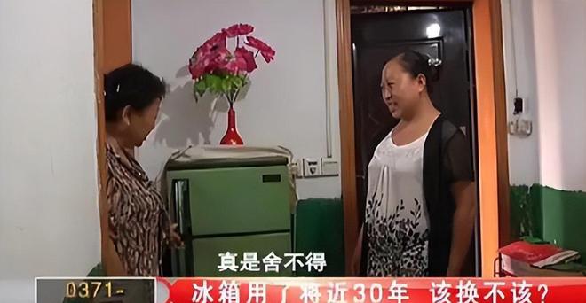 如今三家易主只剩下一家成为一线品牌k8凯发网站中国冰箱界的四朵金花(图5)
