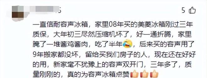 如今三家易主只剩下一家成为一线品牌k8凯发网站中国冰箱界的四朵金花(图3)
